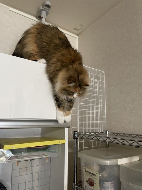 7524A064-CF01-4CBC-85AC-B51A43A07388