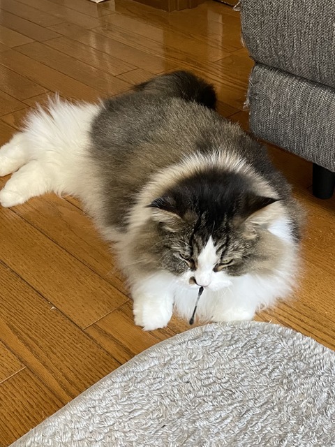 C8712138-29B3-41EC-9919-44309F8F0B66