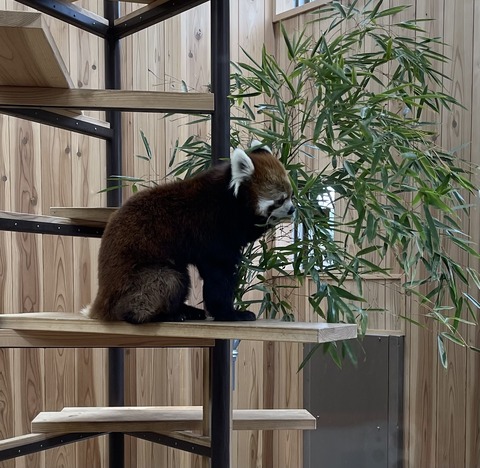 B9BDDFCD-E5FA-486C-917F-E824B7BE675B