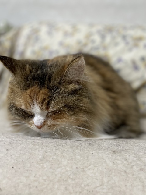 9E9F615F-515D-42A8-9614-8D33DB277391