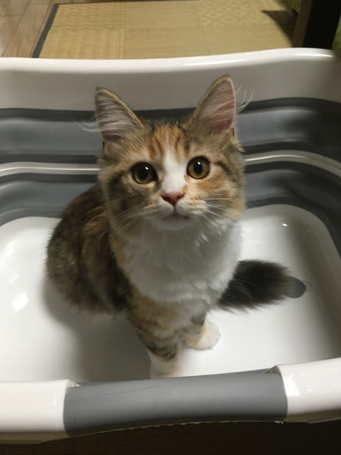 FE73DB95-9CF4-4B43-977D-CCAB7873775D