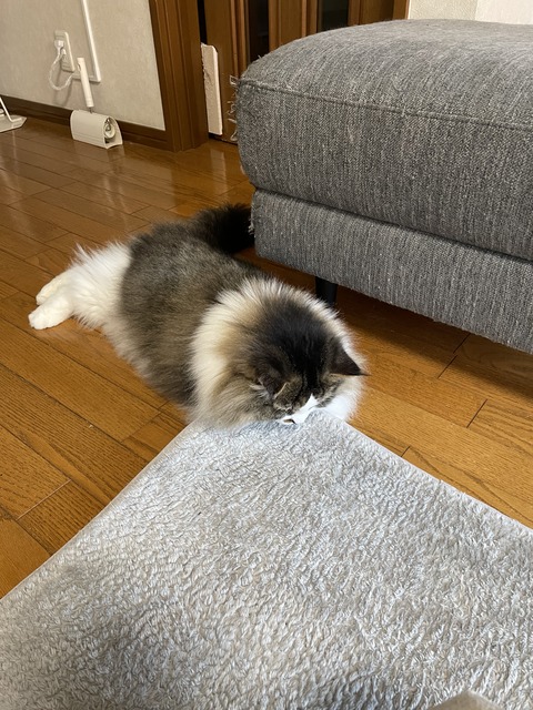 1E1C255D-8335-4213-AC73-A97FB710AA37