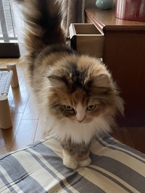 4B1A14A6-6931-4714-91D0-6C67AA2256B3