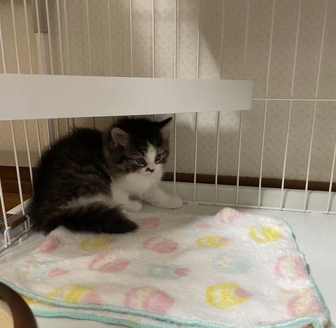 7317B3FD-8A08-4AA8-AD4D-BDF3765DD8EE