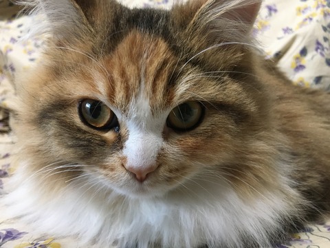 0D2669C6-A3B5-4A30-9BE3-5B5B0C05DED3