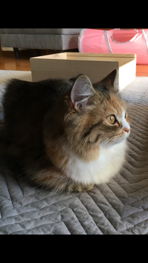 67B9881B-3690-499F-9089-37DF4BE7C4E9