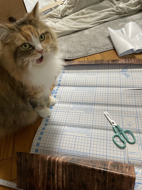 BD9ABBBD-27AB-4DE8-A38A-65DD649429F8