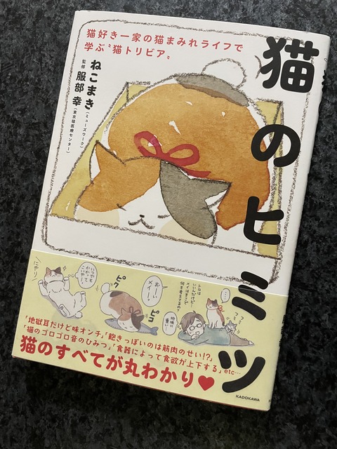 66481175-A5F0-4DD5-8A70-90DD91BA37D2