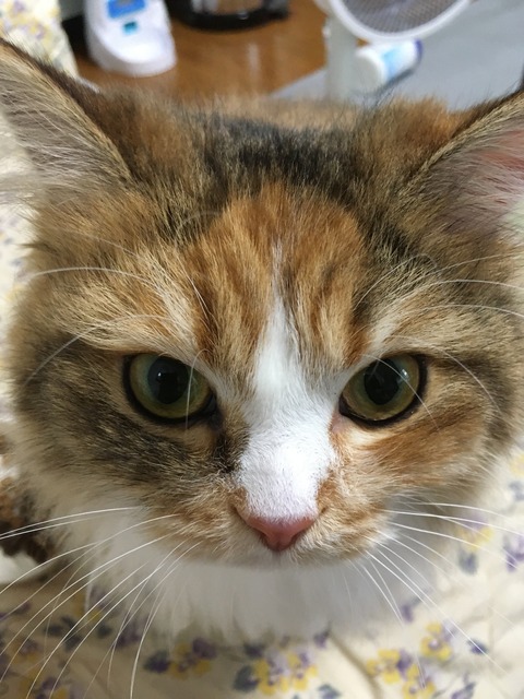 E20A564F-6A4D-414C-926B-54617D397C92