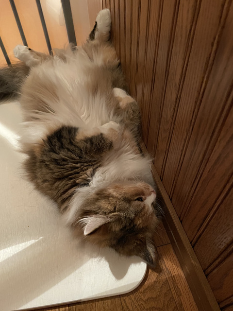 3118F72F-1596-4117-8AFD-D375490121D3