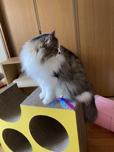 CF0B9CBF-8704-4A80-B81C-0FC23B7A10DA