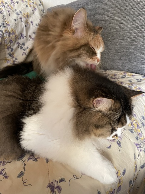 BEA921A4-D733-4225-83DB-DF5EFA0C5316