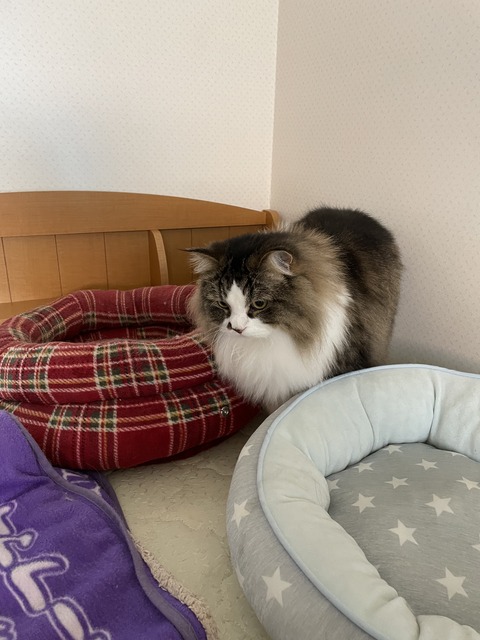 DA104170-A381-4B96-90AE-B14E4D7AA3B9