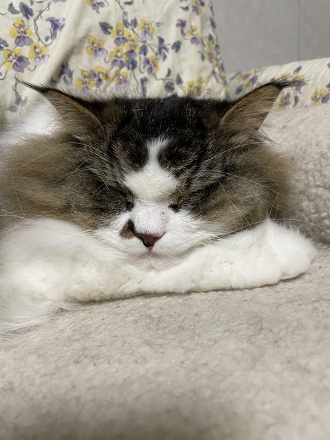 BDFAC1A8-01A8-496E-A904-5A7D89CC5F86