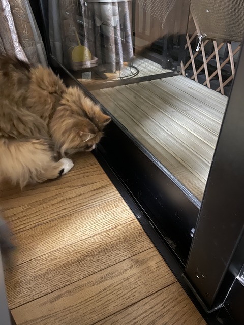 0DDC835B-CFC4-426E-AF80-F21EE37EF8D5