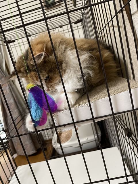 EDE14071-B6A0-494C-984A-9CA2C0E39D9C