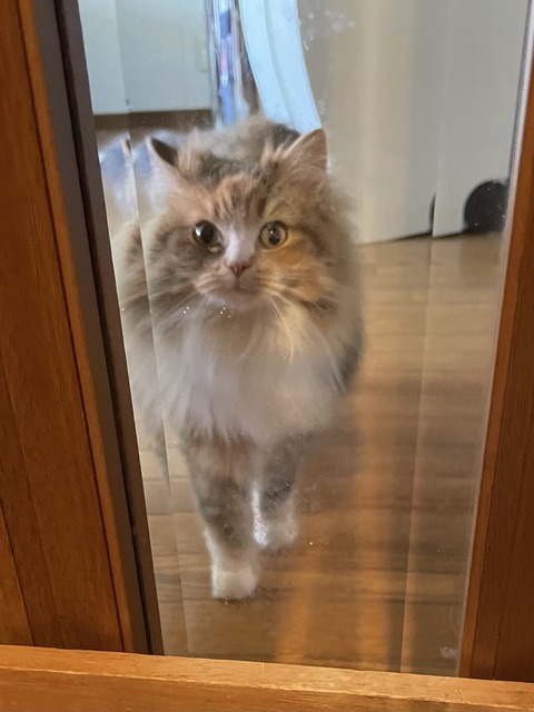 2EC4DE26-3C09-4159-A172-FFABD478E4BE