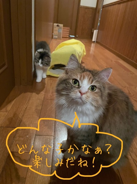 3BDBAC15-BF42-4901-8081-3C3B886DD393