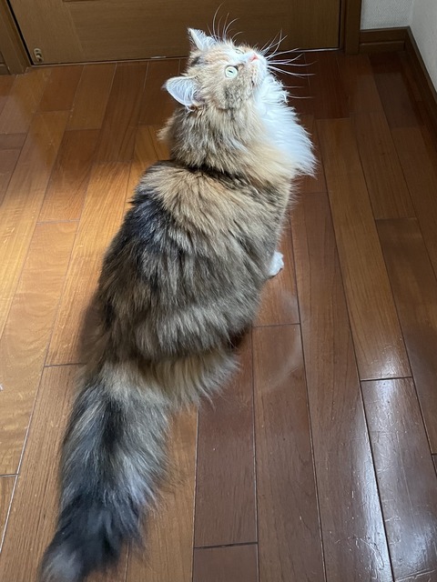 0E870725-2422-4168-9749-A68DA57A5075