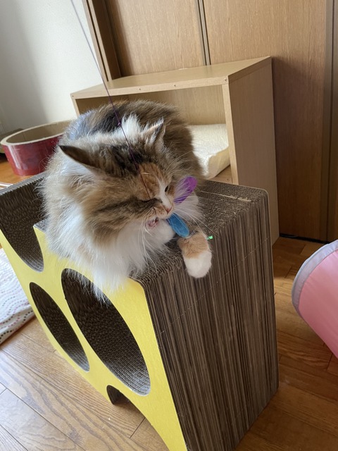 57BD8D1C-77EC-4931-853F-3EE4624FBC64