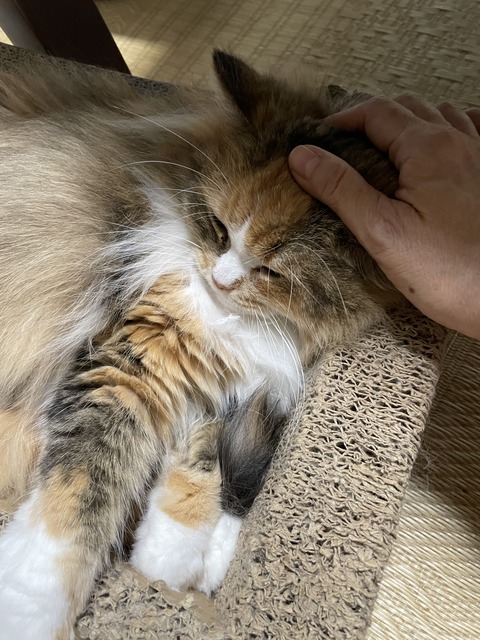 7FB64162-685C-4E36-BF3D-9732782689D5