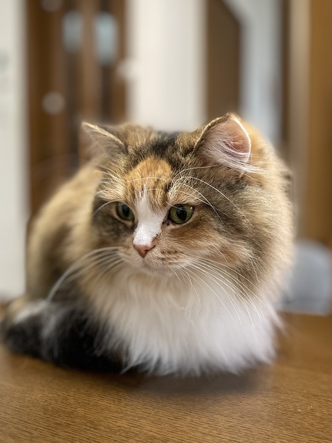 64CF0CF0-E181-4D81-A583-291698E48193