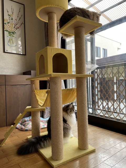 D07ED4DD-718B-4F06-8DFA-6E2F5FE86B67