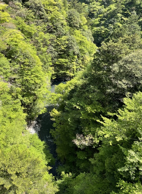 7BE20377-9DEE-4943-9D0B-E313D8D4B885