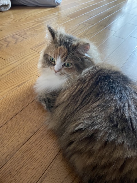 AA350EFD-053A-4ABF-8CFA-B6A35F0D2F2D