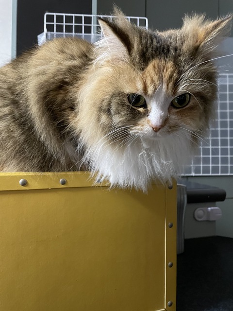 AD5E2750-8AA3-4544-B9E0-C57763B27569