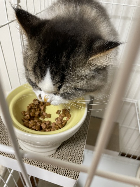 429EF531-4DFB-4C48-974B-390533920F3B