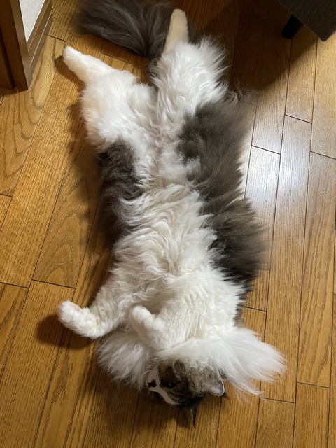 77ACA36E-A301-4D7B-BC7C-B5D879A27535