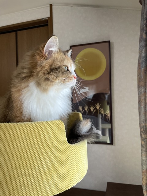 42505408-F129-415A-B63B-DF4D9C81CA86