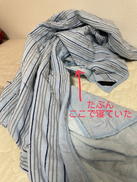 38190E25-0BA1-4155-B79A-7F2DFC131050