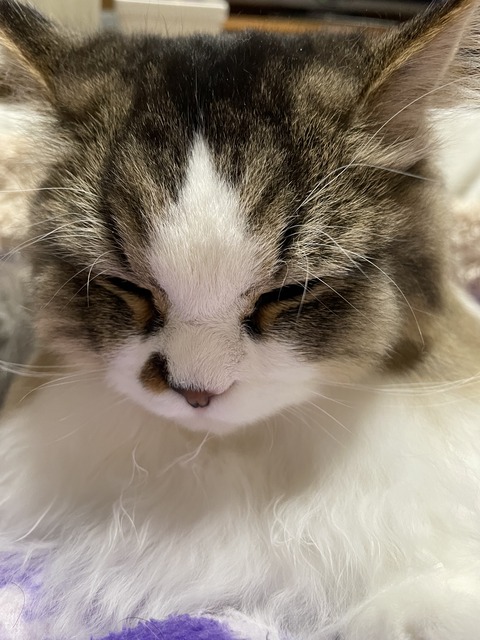 B421A264-F2AC-423A-A3F5-DB3C5A7F9AAD