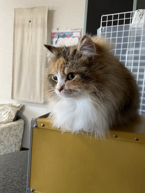 E1EF5D2B-0B9F-4EF7-8592-3FAFEED5CF88