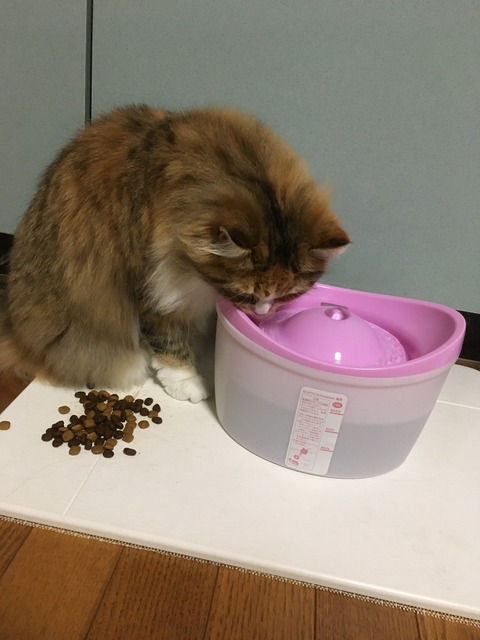 FB3EAA56-5F4F-4DED-A383-D203BAE373DE