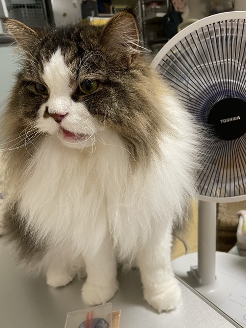 B8655FB2-A2C3-4DD0-B64C-D515E3600DAC