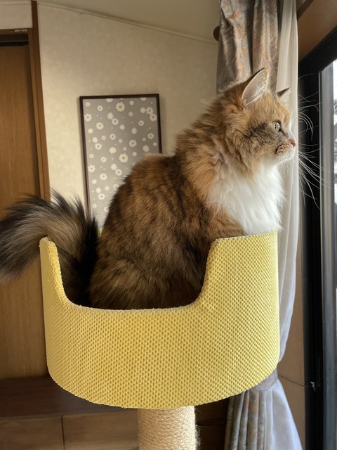 00B5E30B-04FD-46D2-8E1B-1582FDF0508F