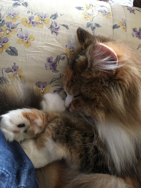 459BDB4C-DC7A-4EA3-9579-6FC5CABD0A94