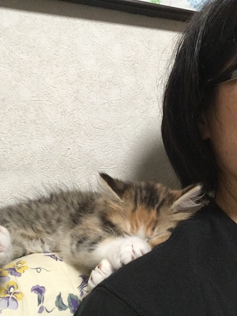 89F4AA00-9309-4CC1-AF4D-314BC03DD1CC