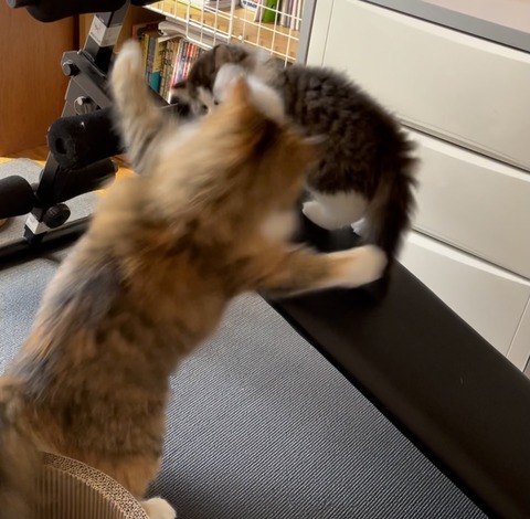 1AECE5C5-8C09-412D-93B1-8BD80A42C938