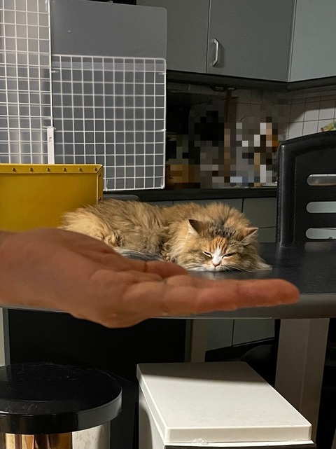 37B18B10-06D5-42F3-B294-F5100BCDC029