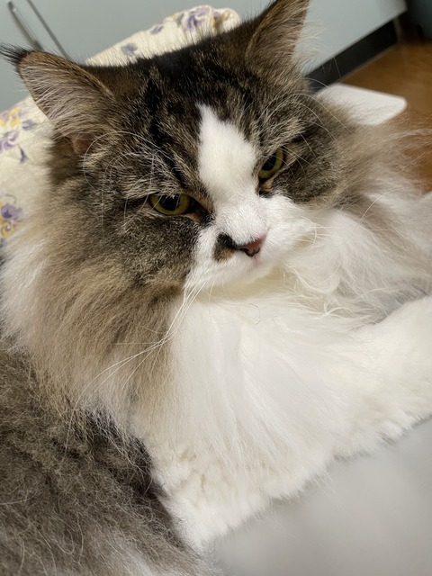 98392AC2-1C2F-4162-86E8-086FA76E4BC1