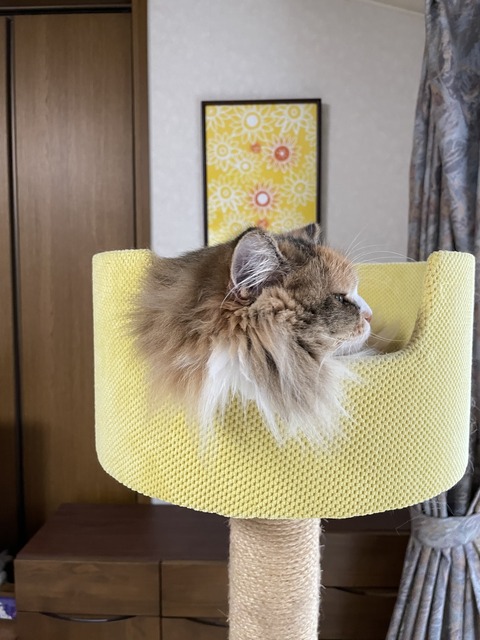 9B2CE738-4E45-4DE0-AE2B-EF8EED3DAE20