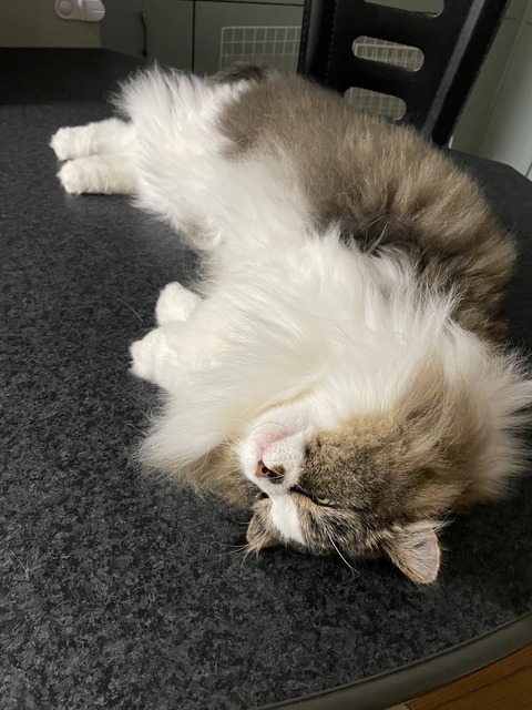 0779CD6B-B260-456B-B648-8D34BA5E7E4D