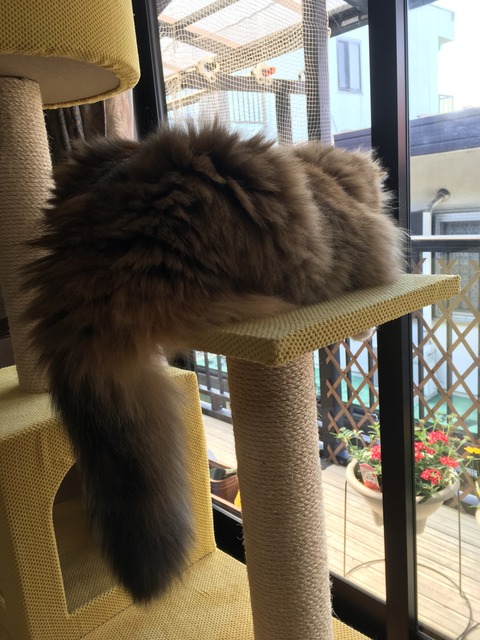 F81324EF-A136-4408-A6A4-3F6CD2587B49