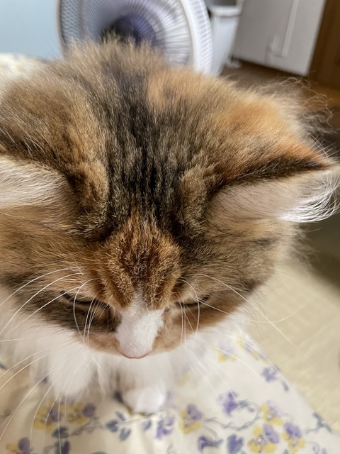 BE36A1E4-A1D2-49BE-9CE4-D48BBB0CA215