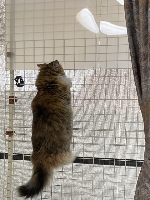 A9CA4CDA-7B45-4AF6-91E6-71C8217B2883