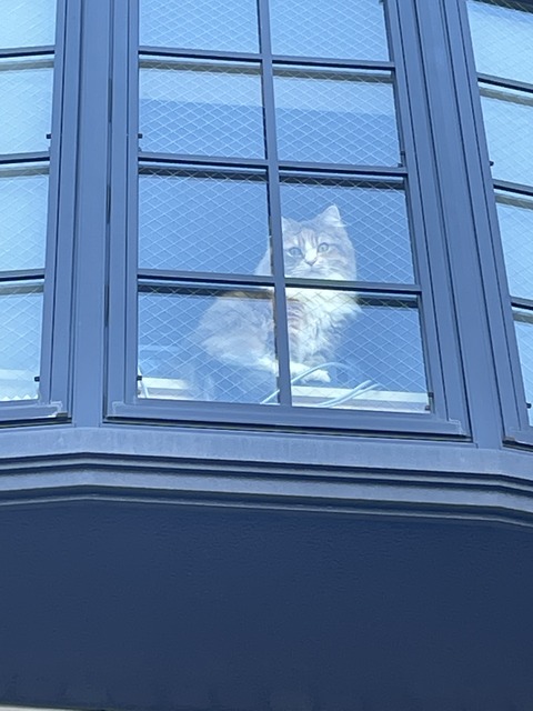 F37FC07C-5A29-4683-87BF-A8BDF4BA4C4D